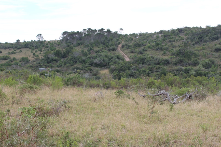 0 Bedroom Property for Sale in Bathurst Eastern Cape